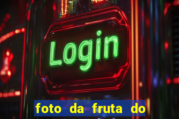 foto da fruta do blox fruits